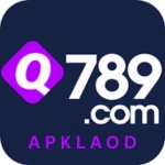 q789 game